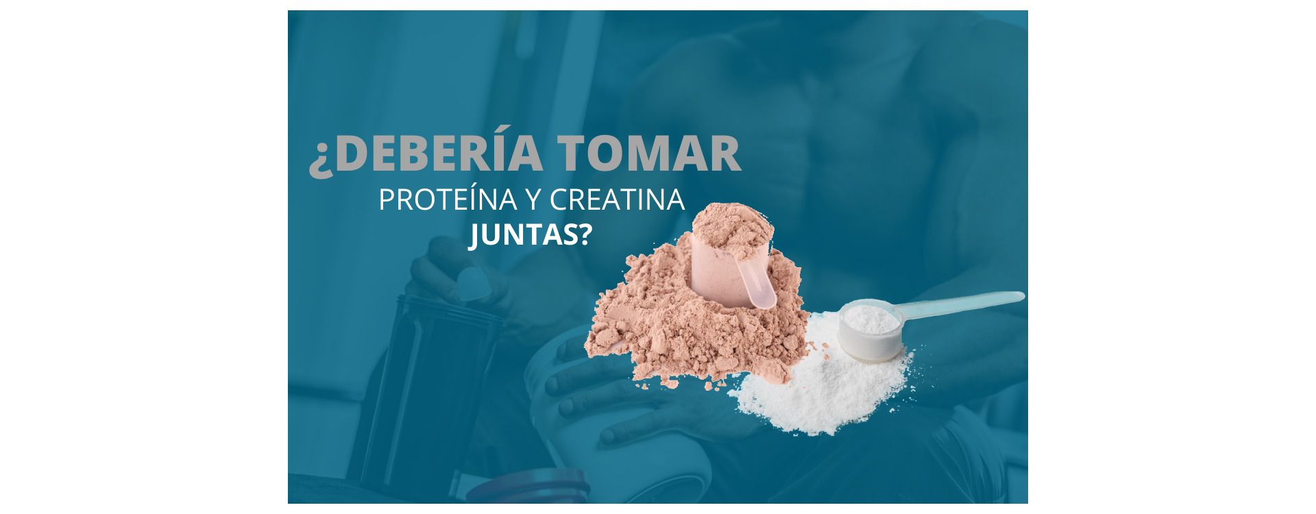 ¿DEBERÍA TOMAR PROTEÍNA Y CREATINA JUNTAS?