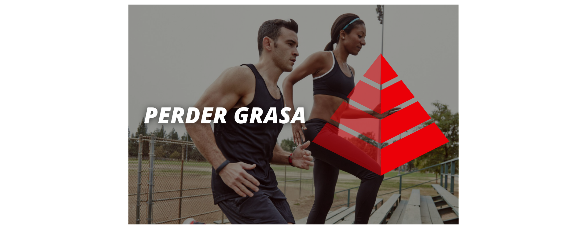 EL SECRETO PARA PERDER GRASA