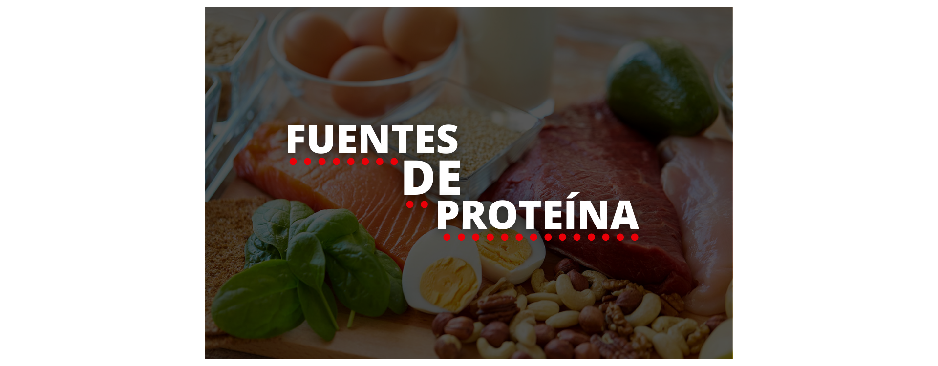 LAS MEJORES FUENTES DE PROTEÍNA
