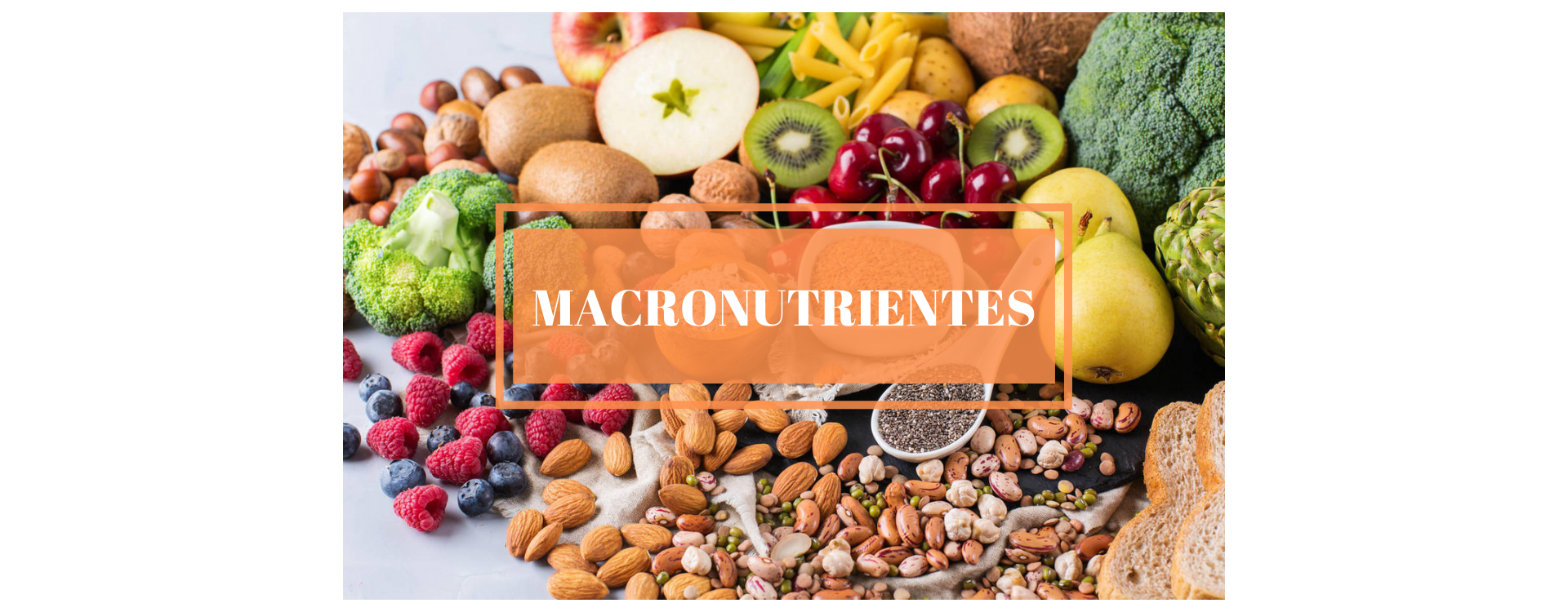 MACRONUTRIENTES- TODO LO QUE NECESITAS SABER