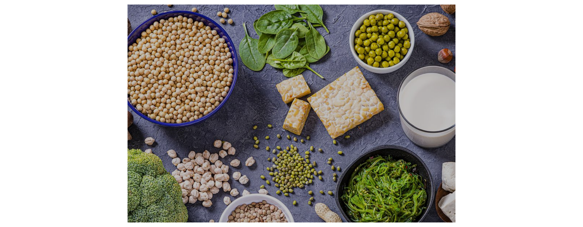 ¿POR QUÉ TOMAR PROTEÍNA VEGANA?