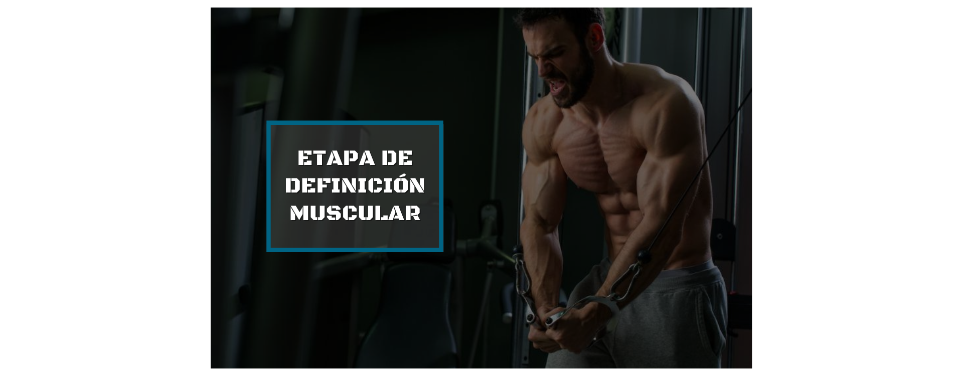 RECOMENDACIONES PARA DEFINIR MÚSCULO